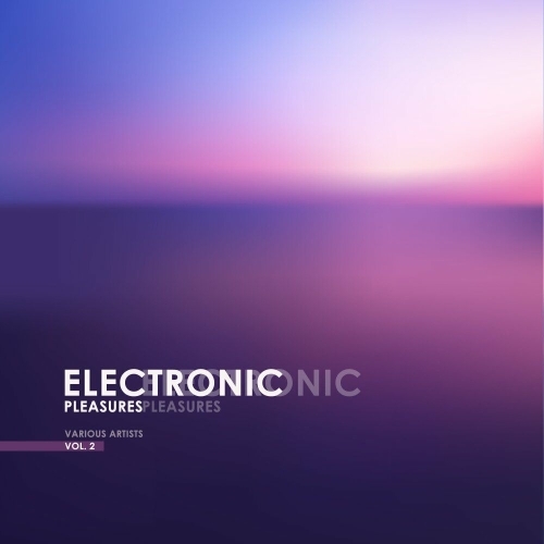  Electronic Pleasures, Vol. 2 (2025) 