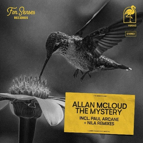 VA - Allan McLoud - The Mystery (2024) (MP3) METWSR6_o