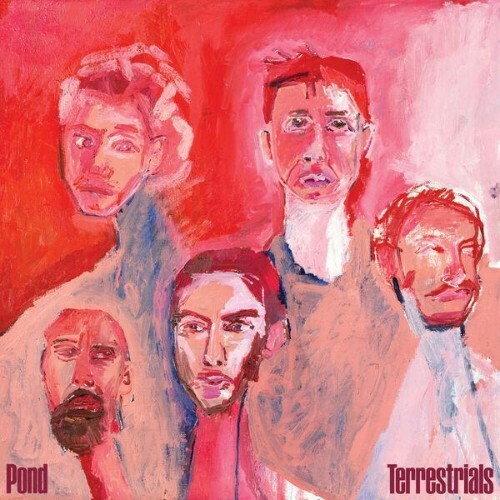 Pond — Terrestrials (2026)