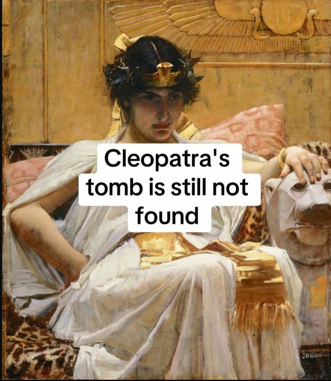 ME1DHVYQ_o.jpg