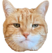 ME15ISA3_o.png