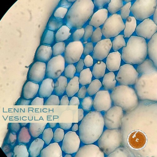 MP3:  Lenn Reich - Vesicula (2024) Онлайн