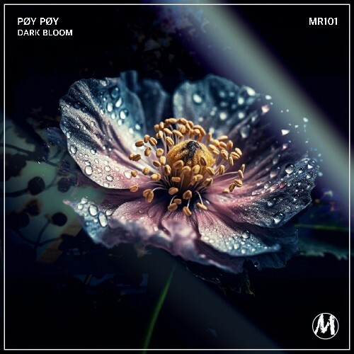  Poy Poy - Dark Bloom (2025) 
