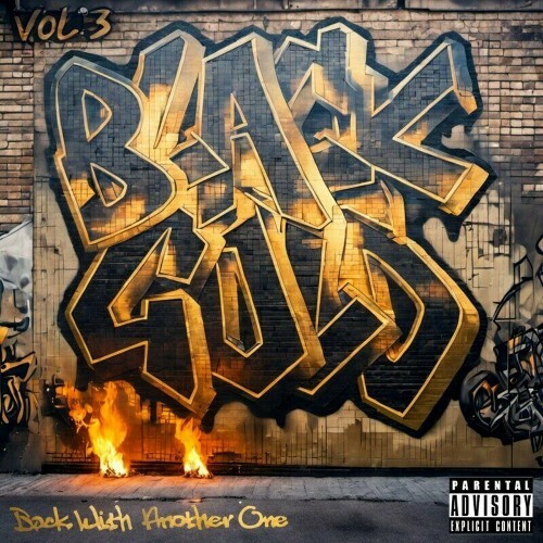 VA - Blackgold - Back With Another One (2024) (MP3) METGUY8_o