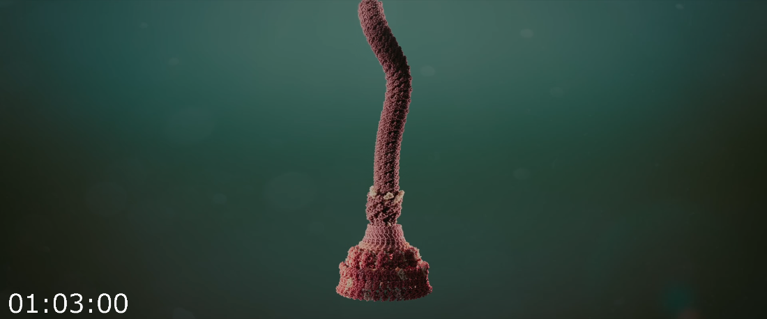 [Kép: ME1DQ2XS_o.png]