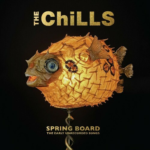  The Chills - Spring Board: The Early Unrecorded Songs (2025) 