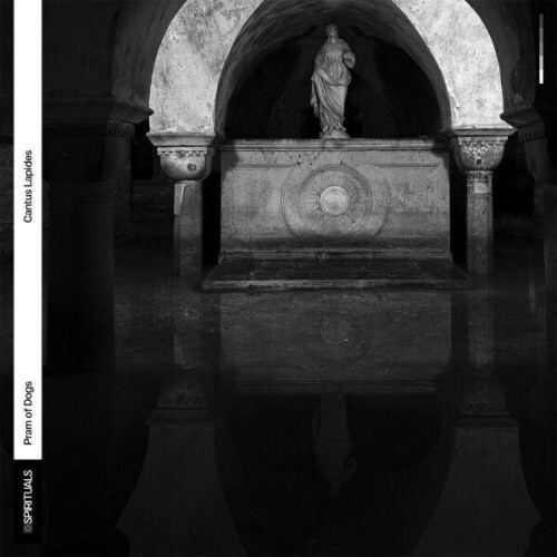  Pram of Dogs - PSALM024: Cantus Lapides (2025) 