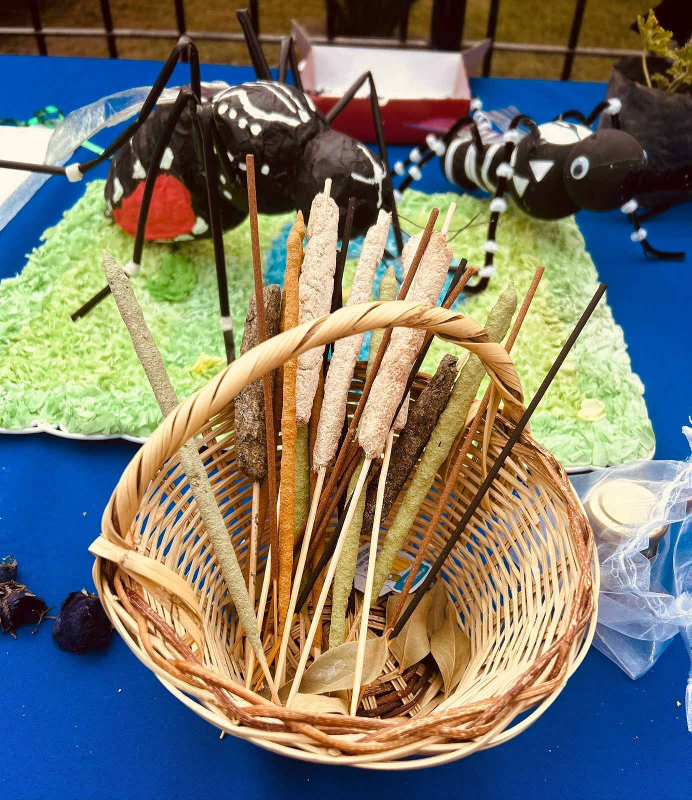 Presentación del proyecto Aedes Aegypti