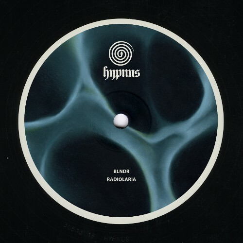  BLNDR - Radiolaria (2025) 