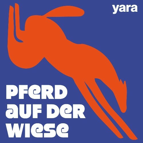 Yara - Pferd auf der Wiese (2024)