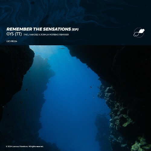 VA - GYS (TT) - Remember the Sensations (2024) (MP3) METH53E_o