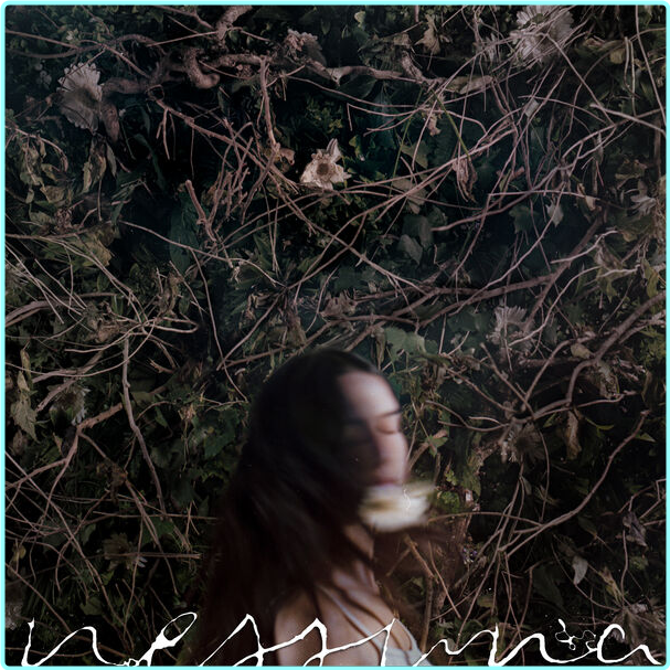 [Image: ME18J6U7_o.png]