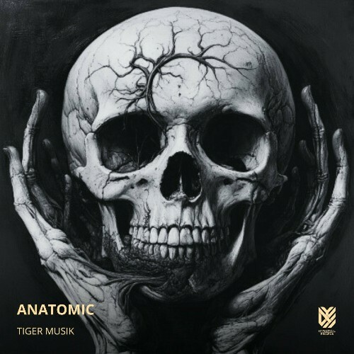  Tiger Musik - Anatomic (2025) 