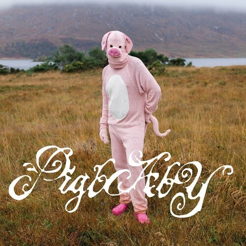  pigbaby - i don't care if anyone listens to this shit once you do (2024) 