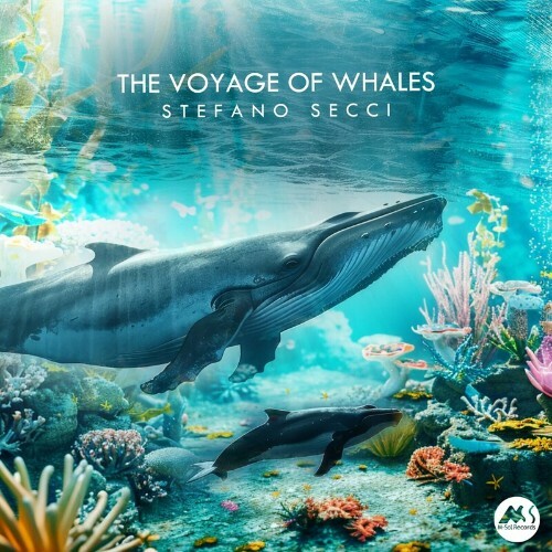 Stefano Secci - The Voyage of Whales (2024)
