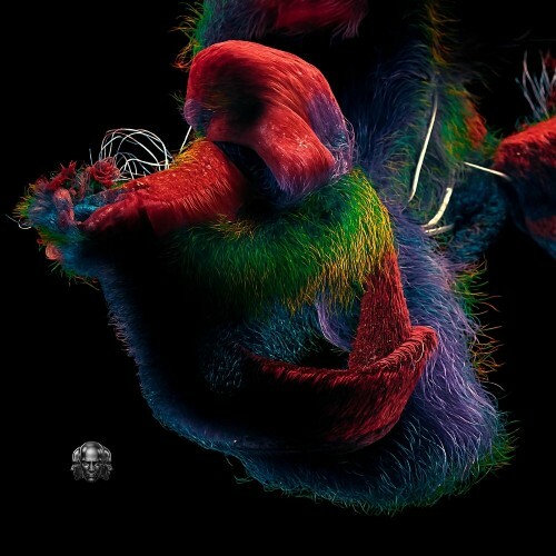  HANN;ES - Faraway (2025) 