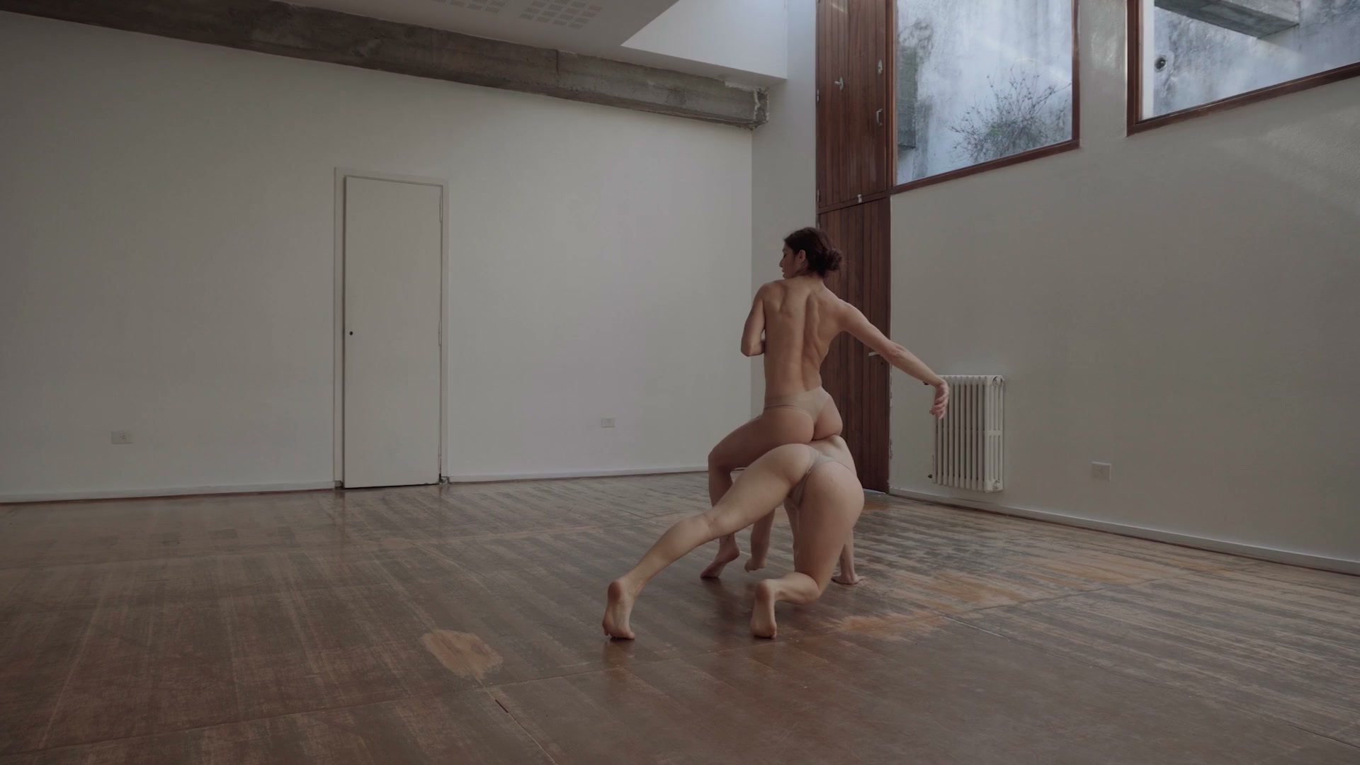 Centaura Project Performance