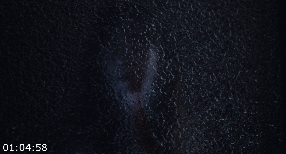 [Image: ME17FL6E_o.png]