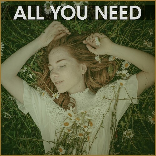  Abel Marvin - All You Need (2024) 