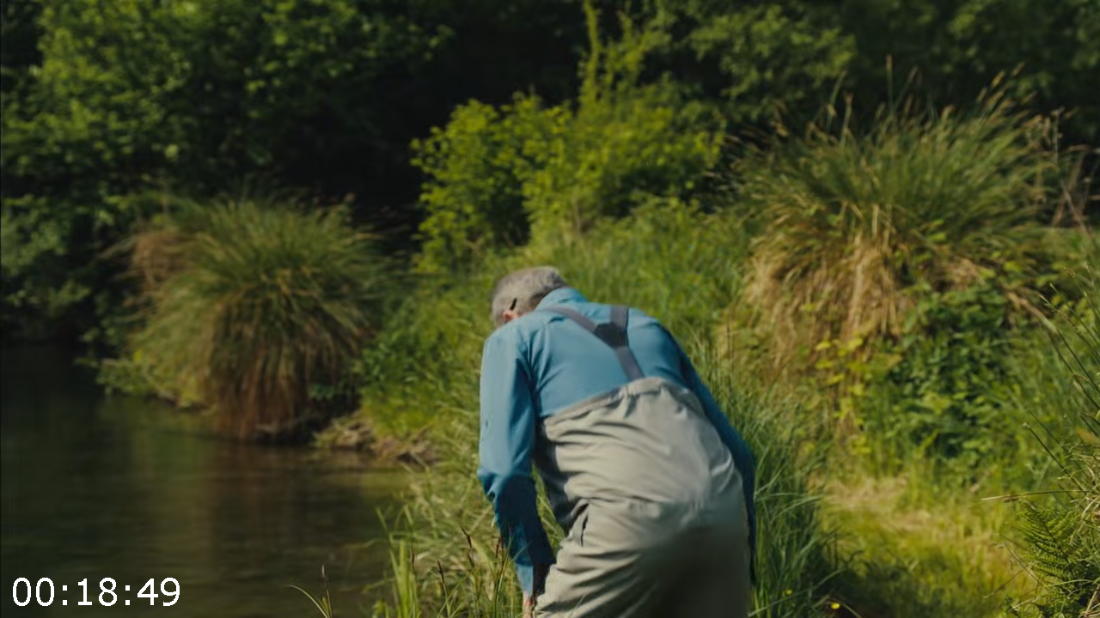 [Image: ME17662X_o.png]