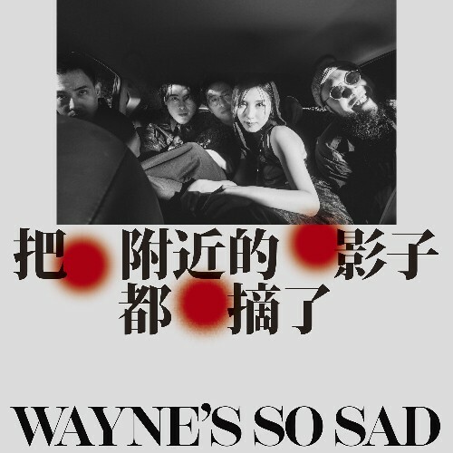  Wayne's So Sad - Dancing Shadows (2026) 