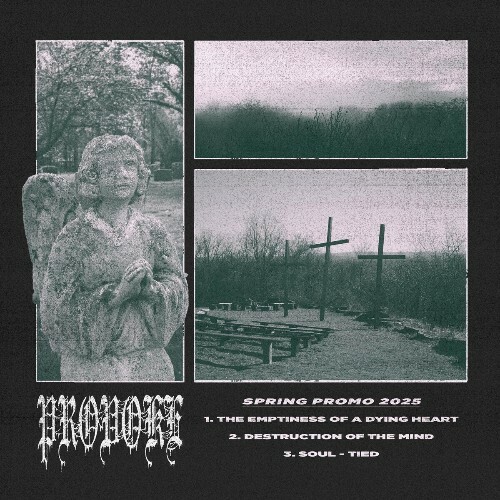 Provoke - Spring Promo 2025 (2025) Provoke - Spring Promo 2025 (2025)