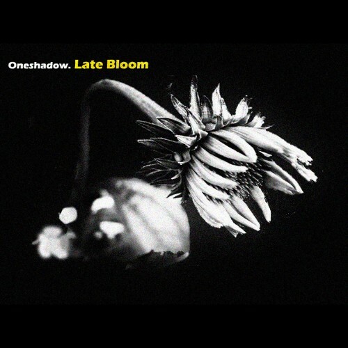 Late Bloom (2026)