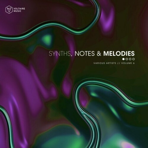  Synths, Notes & Melodies, Vol. 6 (2024) 