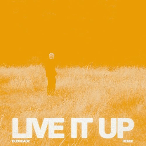  33 Below - Live It Up (Bushbaby Remix) (2024) 