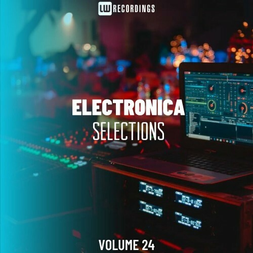  Electronica Selections, Vol. 24 (2024) 