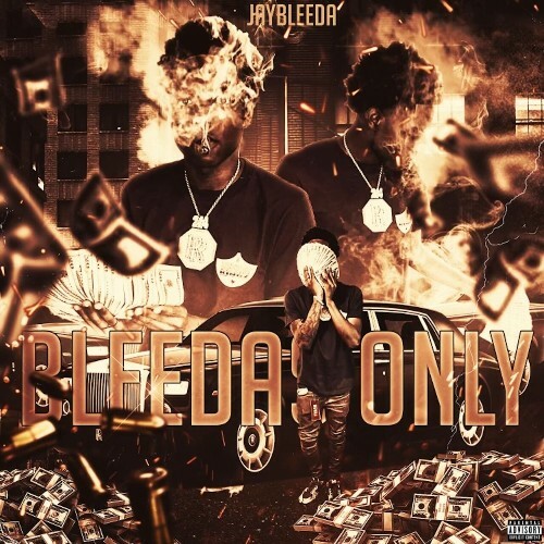 VA - Jaybleeda - Bleedas Only (2024) (MP3)