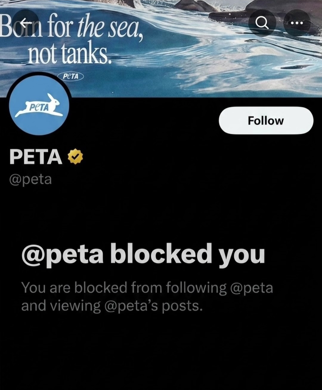 ME1E3K62_o.jpg