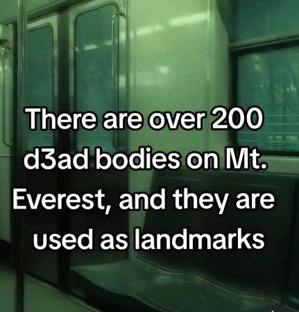 ME15AT3Q_o.jpg
