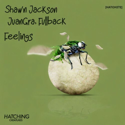  Fullback & Juangra & Shawn Jackson - Feelings (2026) 