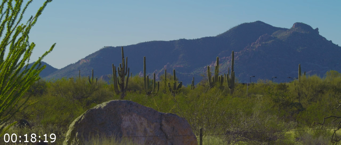 [Kép: ME19903T_o.png]