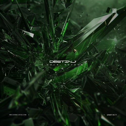 V.Rock & Brydda - Destiny (2025) 