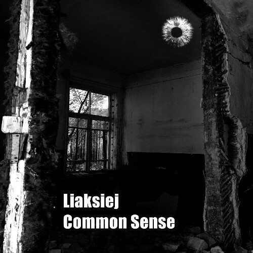  Liaksiej - Common Sense (2025) 