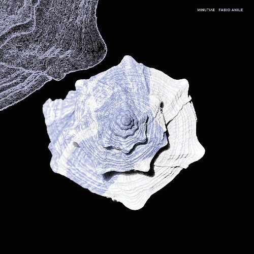  Fabio Anile, Agostino Marangolo, Stephan Thelen, Jon Durant, Bernhard Wagner, Fabio Trentini - Minutiae (2026) 