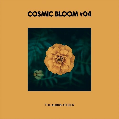  Cosmic Bloom #04 (2025) 