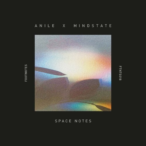  Anile x Mindstate - Space Notes (2025) 