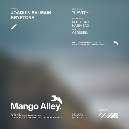  Joaquín Salmain - Levity (2026) 
