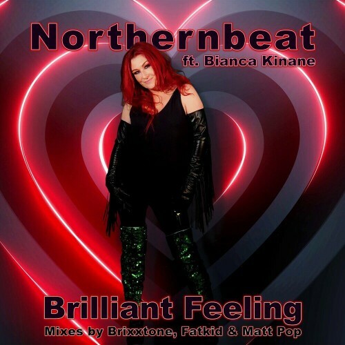  NorthernBeat feat. Bianca Kinane - Brilliant Feeling (2024) 