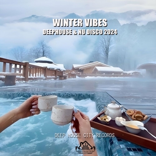  Winter Vibes DeepHouse & Nu Disco 2024 (2025) 