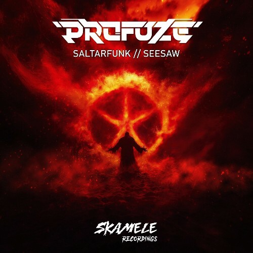  Profuze - Saltarfunk/Seesaw (2024) 