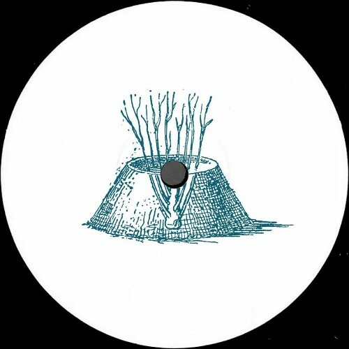  Shcuro - Echo Chamber (2025) 