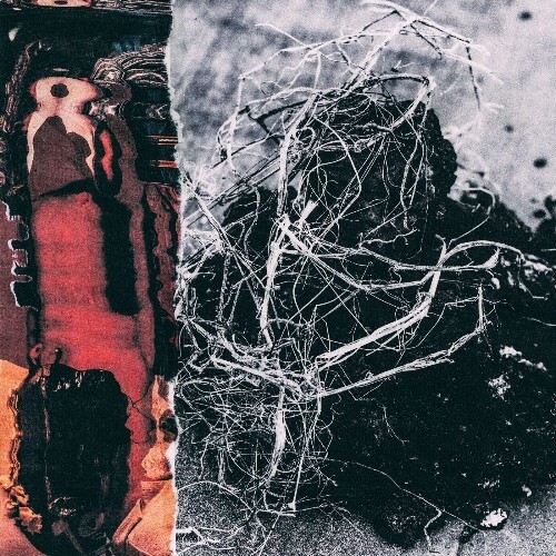  Mopcut - RYOK (2025) 