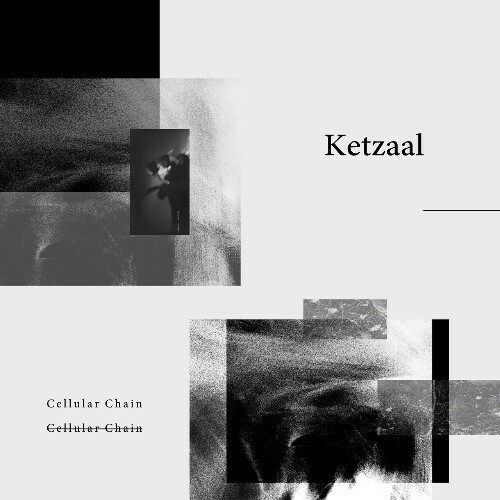  Ketzaal - Cellular Chain (2025) 