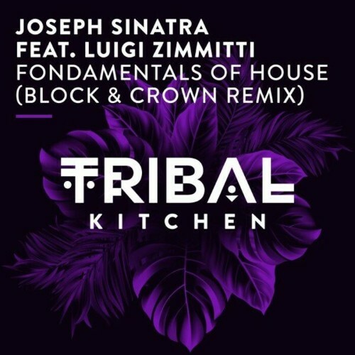  Joseph Sinatra Feat. Luigi Zimmitti - Fondamentals Of House (Block & Crown Remix) (2023) 