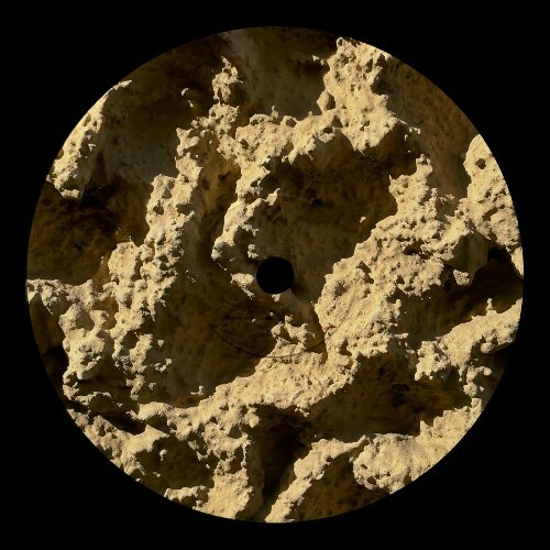  Franco Rossi - Phyllophaga (2025) 