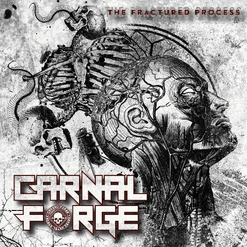  Carnal Forge - The Fractured Process (2025) 